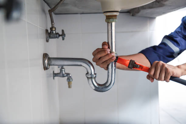 Best Plumbing Inspection Services  in Catahou, LA